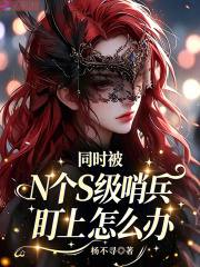  同时被N个S级哨兵盯上怎么办